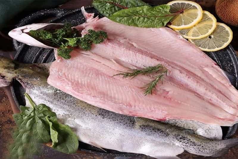 تصویر 3 از قیمت فیله ماهی گیش + خرید باور نکردنی